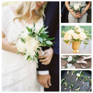 Stylish & Petite Collection